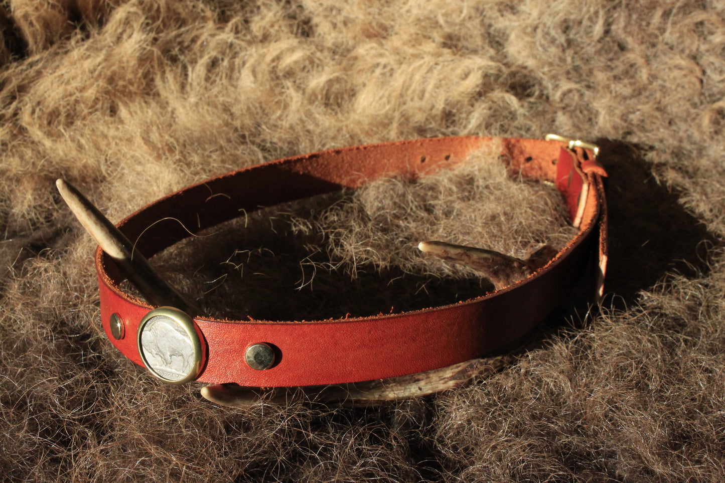 Buffalo Nickel (Custom) - Leather Hat Band
