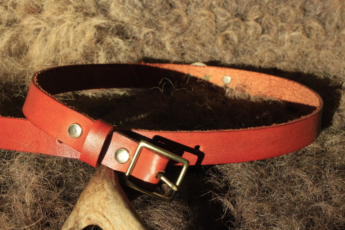 Buffalo Nickel (Custom) - Leather Hat Band