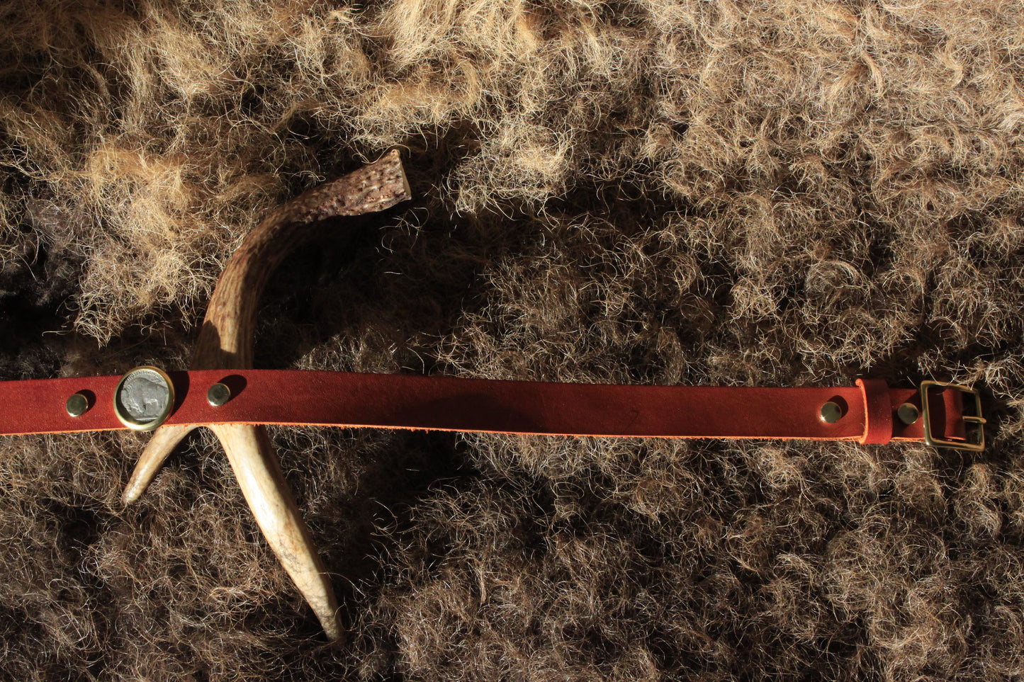 Buffalo Nickel (Custom) - Leather Hat Band