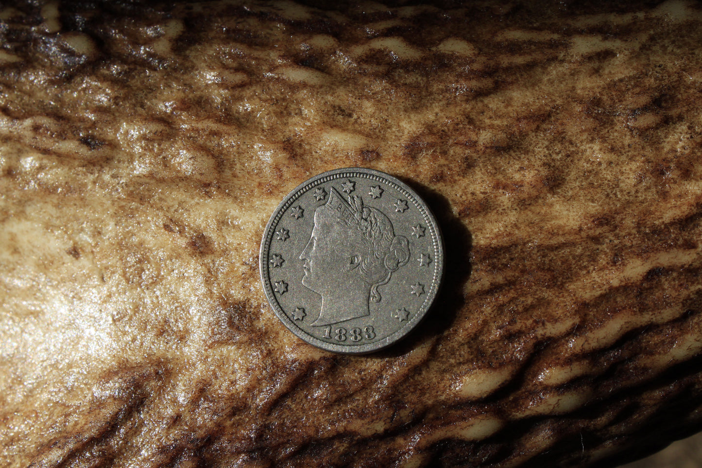 Liberty Head Nickel (1883) - Leather Hat Band