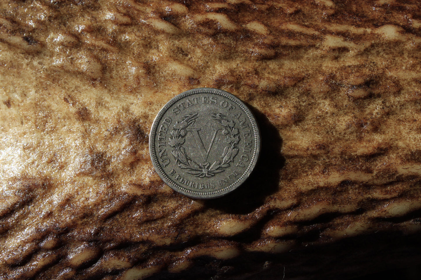 Liberty Head Nickel (1883) - Leather Hat Band