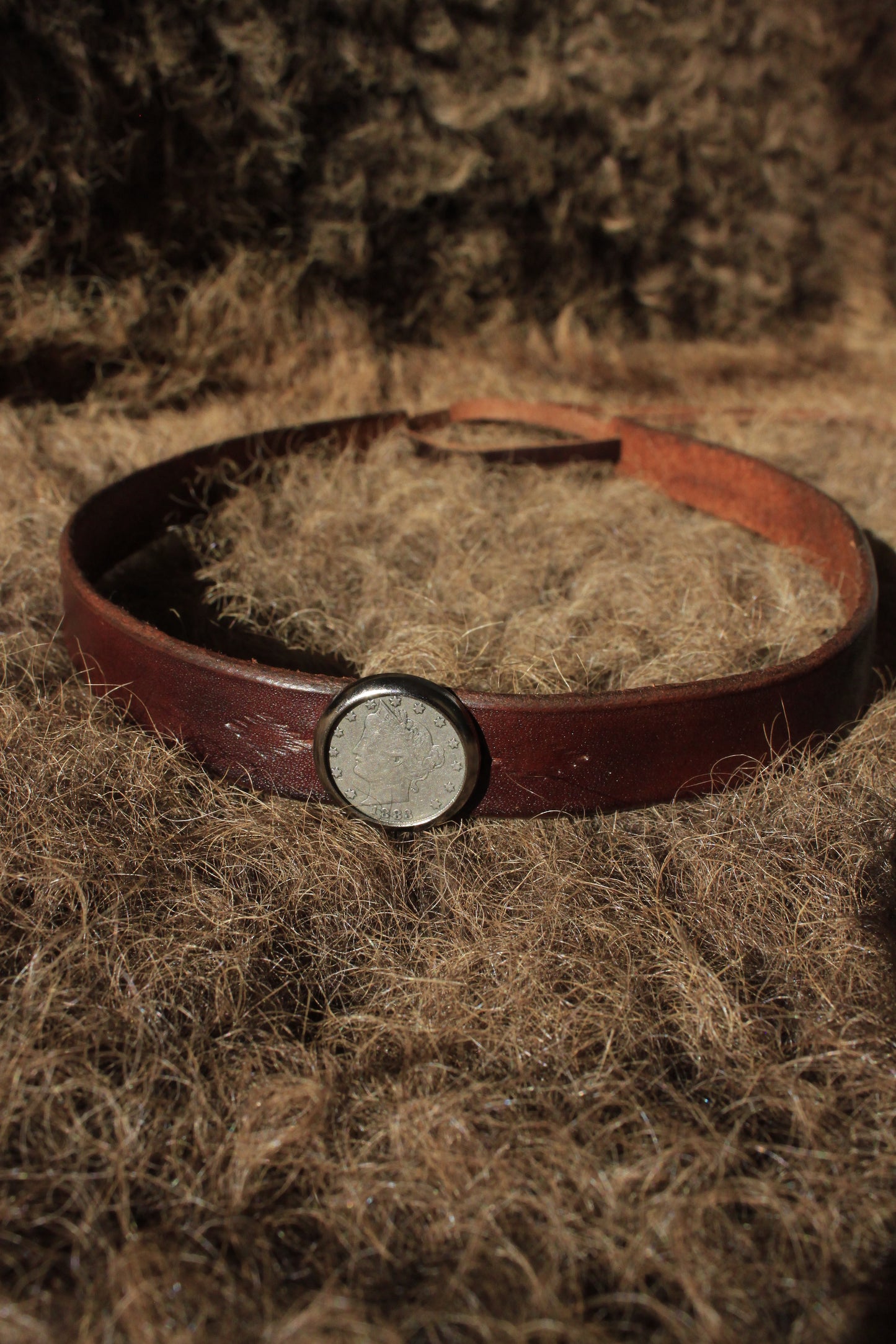 Liberty Head Nickel (1883) - Leather Hat Band