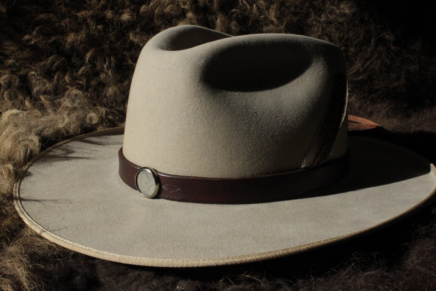 Liberty Head Nickel (1883) - Leather Hat Band