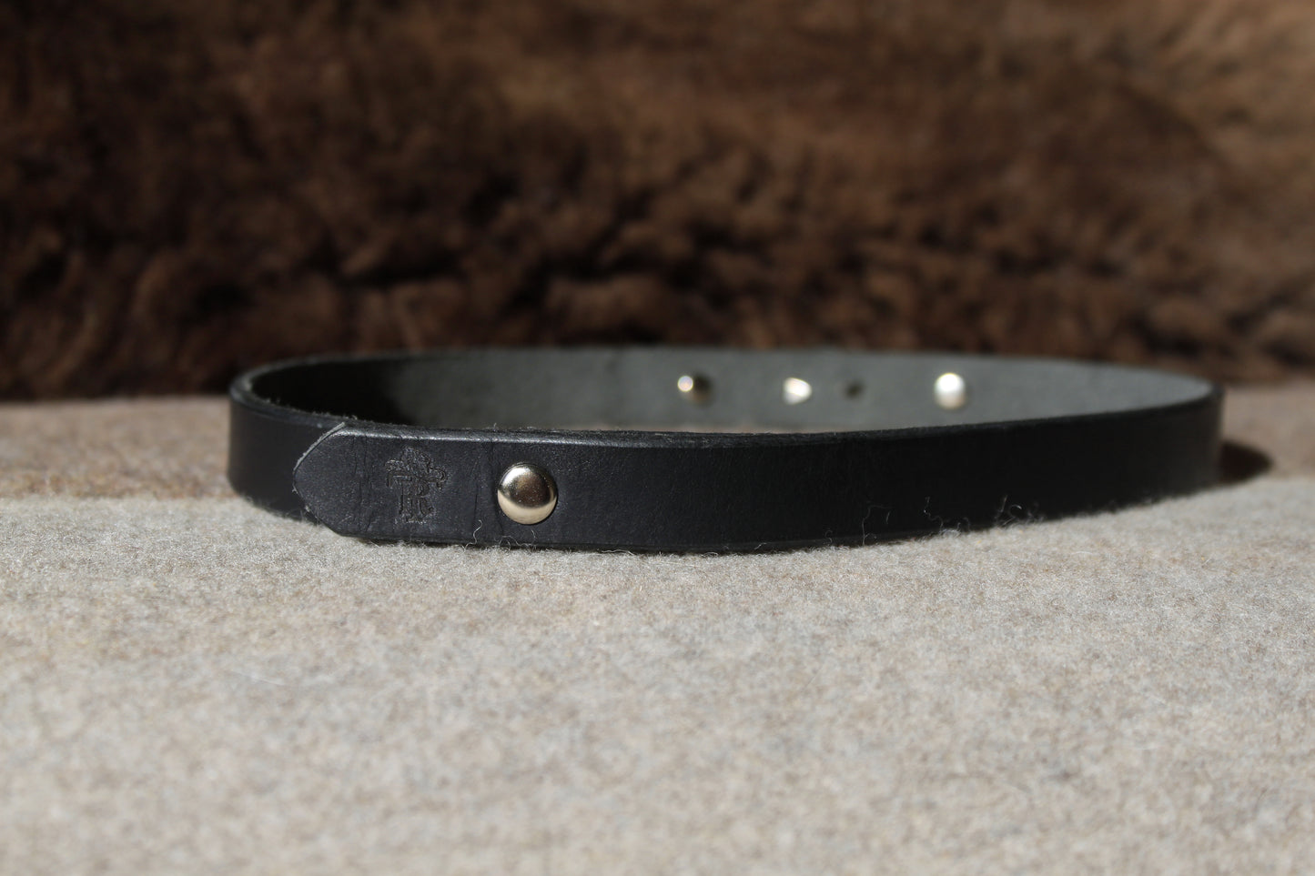 Buffalo Nickel - Leather Hat Band