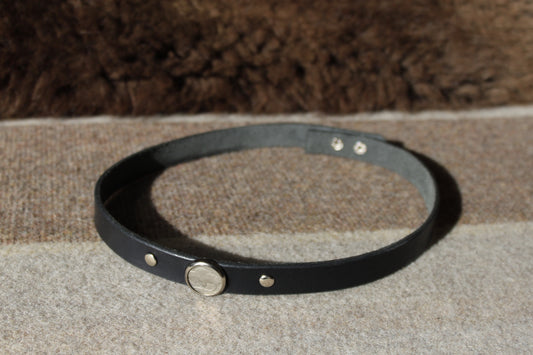 Buffalo Nickel - Leather Hat Band